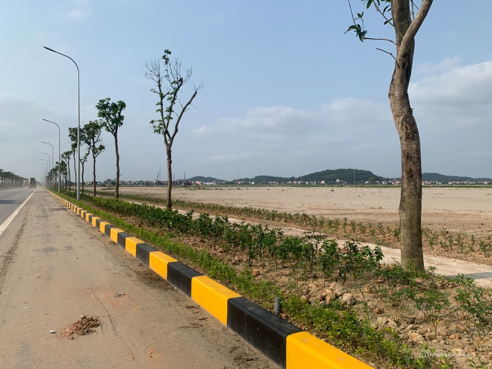 Chuyển nhượng 20.000m2  Khu Công nghiệp Gia Bình 2 - Bắc Ninh