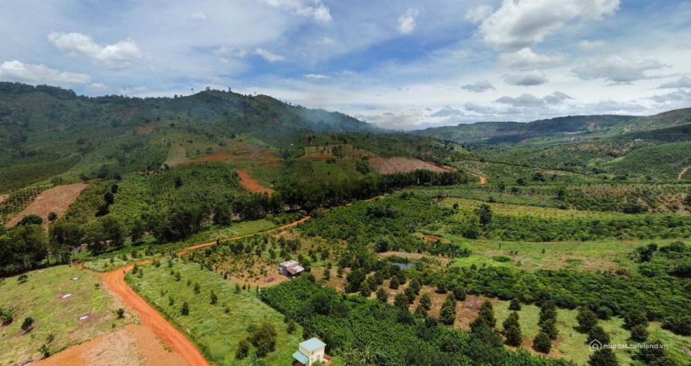 CHỦ BÁN NHANH LÔ ĐẤT VIEW HỒ LO TẾT