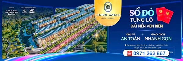 Khu Đô Thị Central Avenue Quy Nhơn. Đã có sổ hồng từng lô