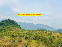 Chuyển nhượng 6.5 ha đất ở tại Vân Hồ - Sơn La