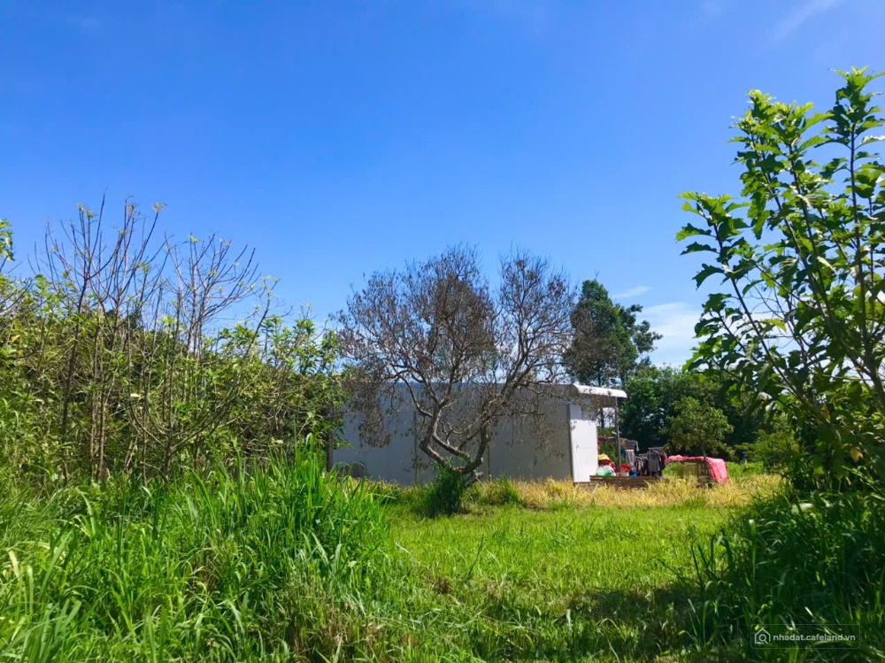 CẮT LỖ 1 SÀO ĐẤT VƯỜN NGAY KHU DÂN CƯ – GẦN QL20 THỐNG NHẤT – CHỈ 750 TRIỆU