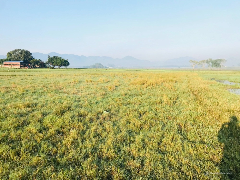 Bán Đất / Hồ Suối Trầu/ Ninh Xuân, Ninh Hòa