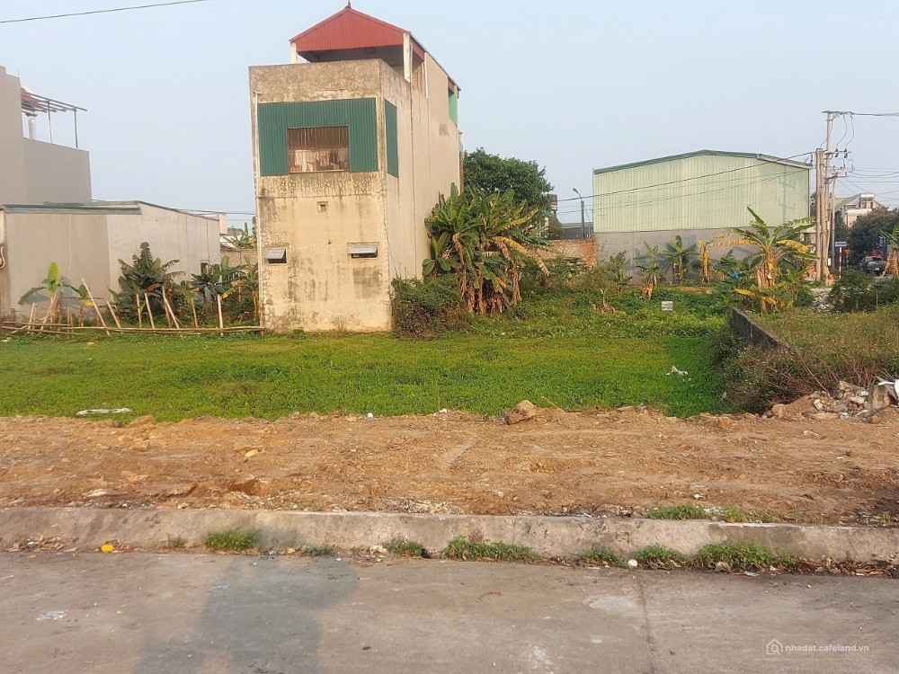 bán đất phân lô bigc ninh bình