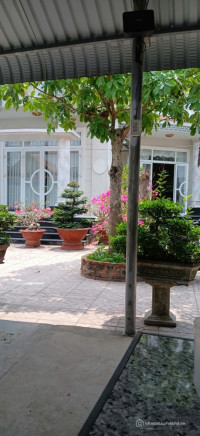 Cần bán BIỆT THỰ SANG TRỌNG khuôn viên đất rộng 2.400m2 sát DT 870 Tiền giang. L