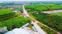 Đất nền Khu Công Nghiệp Bàu Bàng gía rẻ nhất thị trường