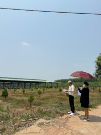 Bán Đất 250m² Phú Giáo – Sẵn 100m² Thổ Cư, Đường 8m