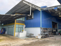 BÁN ĐẤT Tặng nhà xưởng, ẤP NHƠN HÒA 1, XÃ ĐỨC HOÀ THƯỢNG, HUYỆN ĐỨC HOÀ, LONG AN