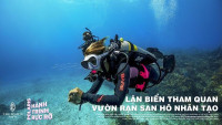 Chỉ 300tr nhận ngay căn hộ 5 sao trong quần thể nghỉ dưỡng hiện hữu The Maris