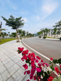 Central Avenue Quy Nhơn cửa ngõ giao thương