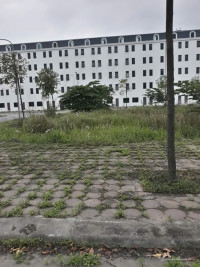 Chính chủ bán đất tại dự án 4,6ha thị trấn Lim, đã có bìa hồng