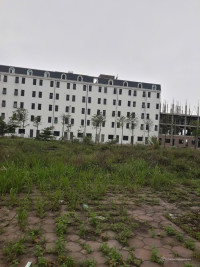 Chính chủ cần tiền bán đất tại dự án 4,6ha tại thị trấn Lim, đã có sổ hồng