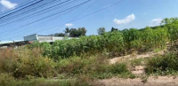 Bán đất nền đẹp tại Nguyễn Thị Chơn, 1200m2, giá thỏa thuận, Nhơn Trạch, Đồng Na