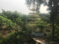  Cơ Hội Sở Hữu Đất Vườn 2400m² Tại Vĩnh Cửu – View Sông Thoáng Mát, Có Sẵn Cây