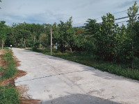 Cần bán gấp vườn trái cây Thị xã Chơn Thành, Bình Phước, 1000m2, view hồ cực đẹp