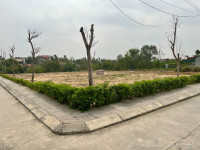 Cơ hội sở hữu đất vị trí cực đẹp, pháp lý rõ ràng tại Đông Triều chỉ với 6xxtr