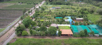 Bán đất Bình Chánh (đường Vườn Thơm); 21x88m; hạ tầng hoàn chỉnh; sổ đỏ; 14 tỷ