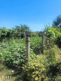 Bán đất Tịnh Hòa, tp Quảng Ngãi, Quảng Ngãi giá cách QL 24B 100m giá rẻ