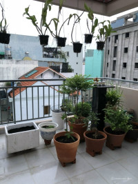 VIP Q10- Tô Hiến Thành 5 tầng hẻm ô tô vào giá chỉ 1X... tỷ.