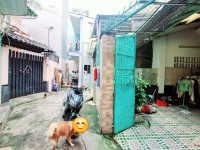 Bán nhà Hẻm 115 Nguyên Hồng thực tế 76m2 công nhận 61 nhà 2 tầng