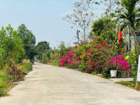 600 triệu có ngay miếng đất gần chợ An Linh – 100m2 thổ cư, ô tô tới tận nơi