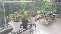 Cho Thuê Căn Hộ PMH - Q7 - Garden Court 1, dt: 147 m2 - 3 Phòng ngủ - 2 WC