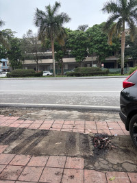 Cần cho thuê ký ớt kinh doanh, chính chủ