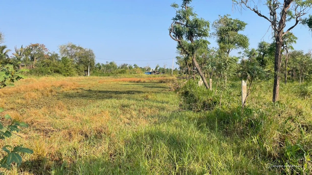 2000m2 đất nền, có tới 500m2 thổ tại P.Long Hòa, TP Gò Công, Tiền Giang