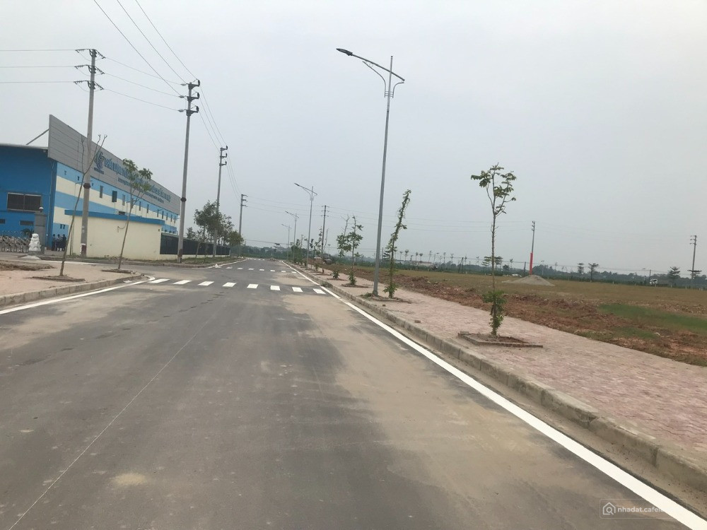 Chuyển nhượng 50.000m2 khu công nghiệp Lương Điền – Hải Dương