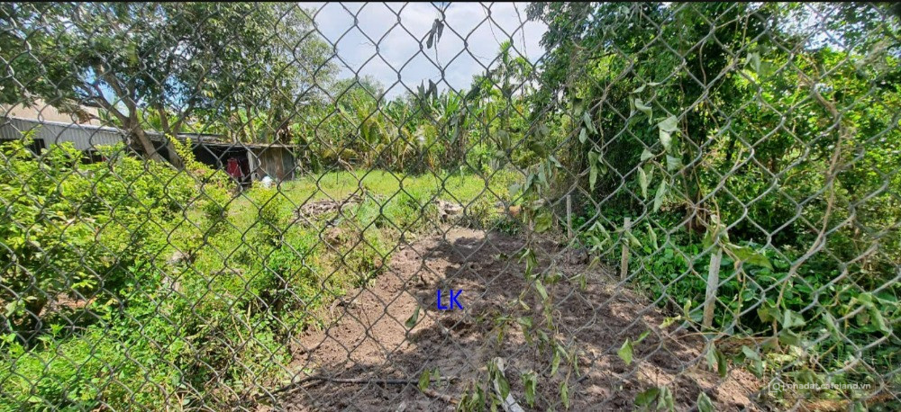 Bán nền: 5m x 28m, Thổ 70m² Đường nhựa 3.5m (Gần Cầu Cái Chai), TT Mỹ Thọ.