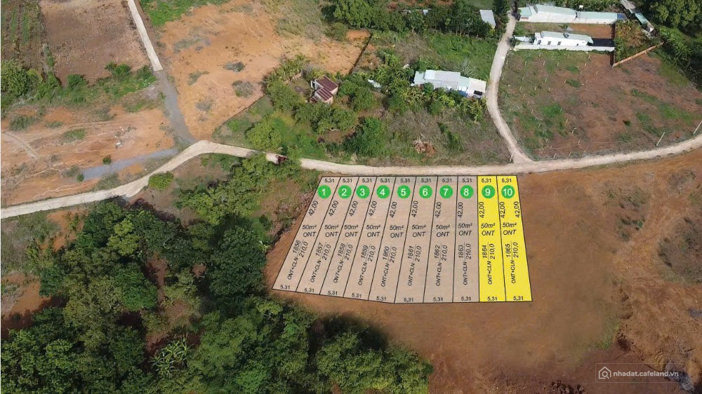 BÁN GẤP 7 NỀN ĐẤT(1428M2)THỔ CƯ,SỔ HỒNG RIÊNG,DÂN HIỆN HỮU,SÁT CHỢ TRƯỜNG,290TR
