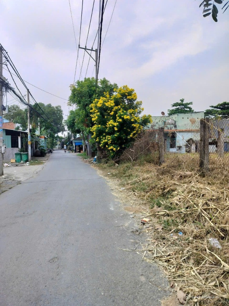 Đất mặt tiền ,thổ cư 975m ,shr cần bán gấp gái 8.8 tỷ Quy Đức Bình Chánh