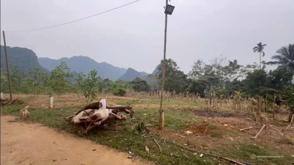BÁN ĐẤT GIÁ RẺ MINH SƠN NGỌC LẶC