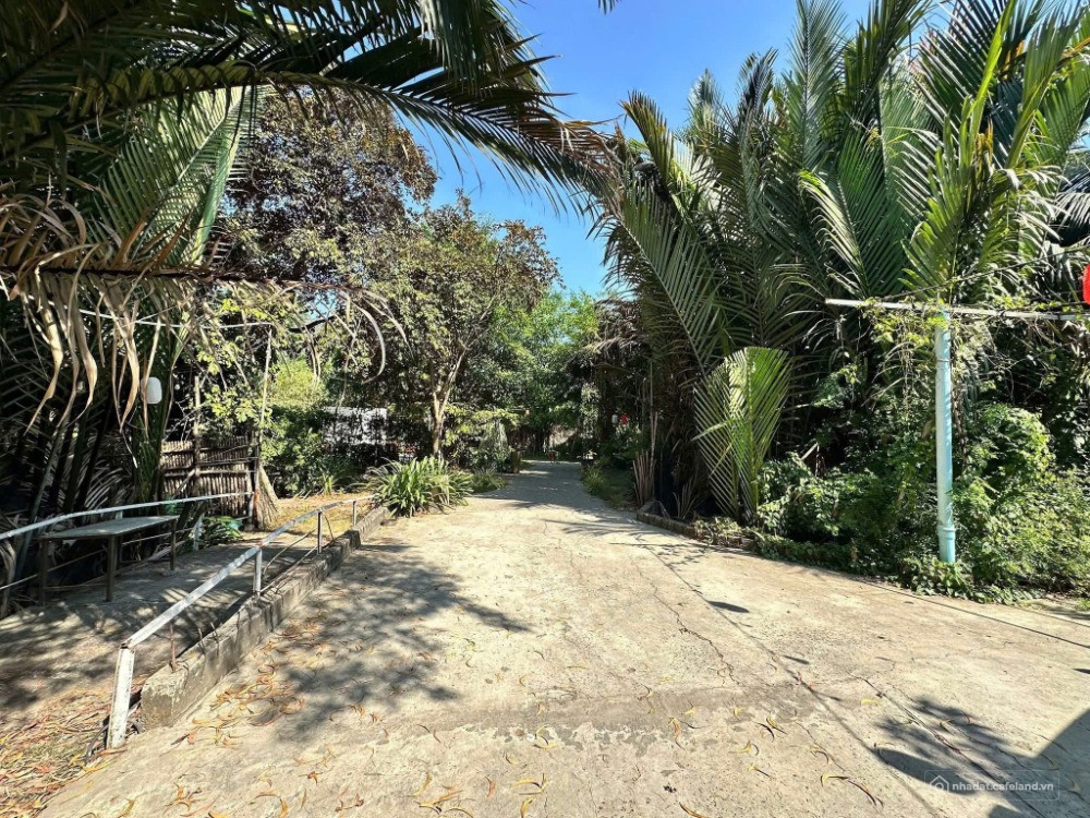 BDS HVL CHO THUÊ 1300m2 Đất Vườn Lã Xuân Oai Q9