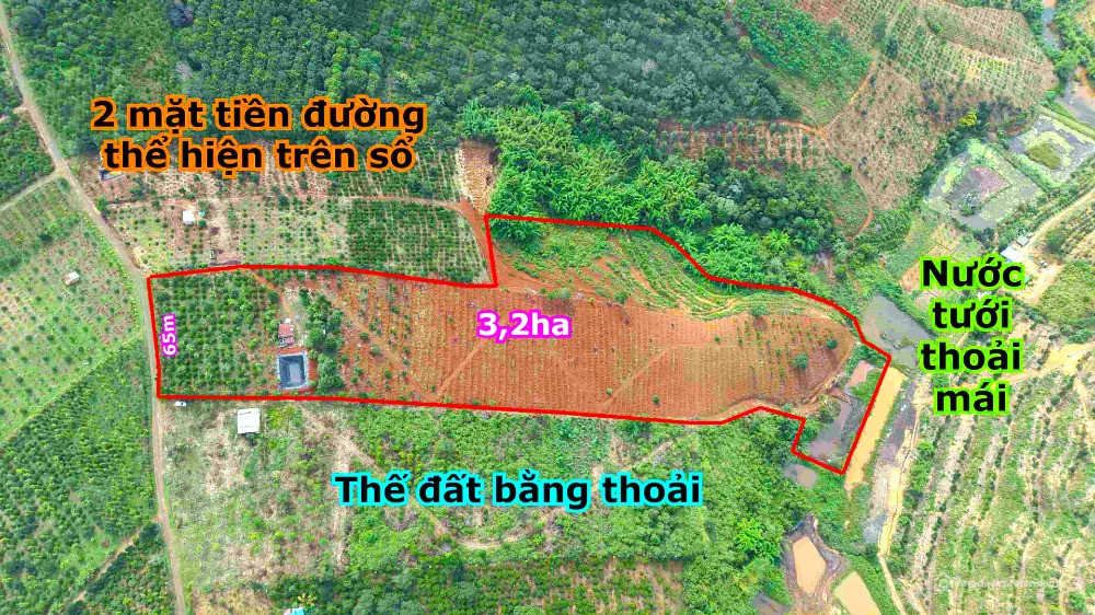 3,2ha đất trồng cà phê, tiêu, sầu riêng, cây ăn trái gần trung tâm Gia Nghĩa