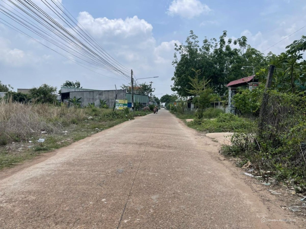 KẸT TIỀN CẦN RA GẤP 1.000M2 THỔ CƯ 250M2 BÁN 260 TRIỆU