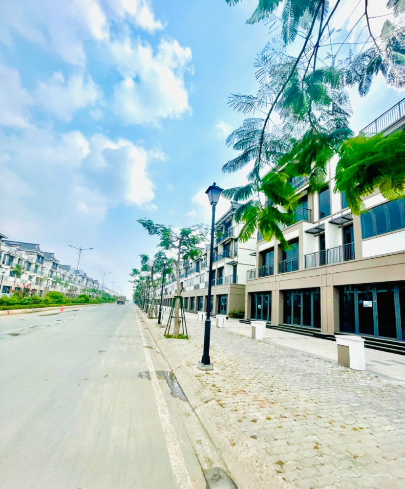 Nền đất 158m2 sát trườnghọc THPT Hậu Nghĩa-đủ thổ-sổ riêng-Liềnkề nhà phốVinHome