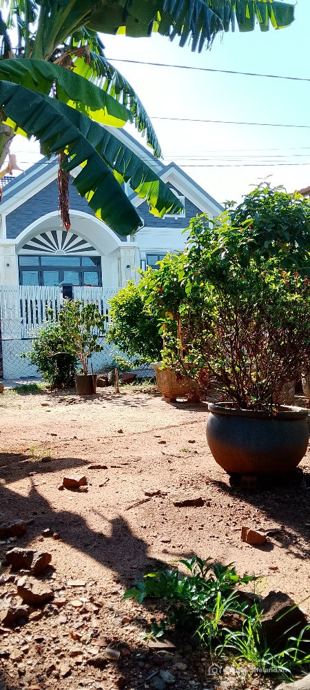 390m² đất gần biển với 8.6m mặt tiền cực đẹp trong kdc hiện hữu đông đúc bán rẻ