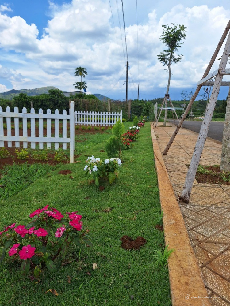 Bán đất SHR 168m2 (75m2 TC) QL 20, Di Linh, Lâm Đồng, giá 836tr TL