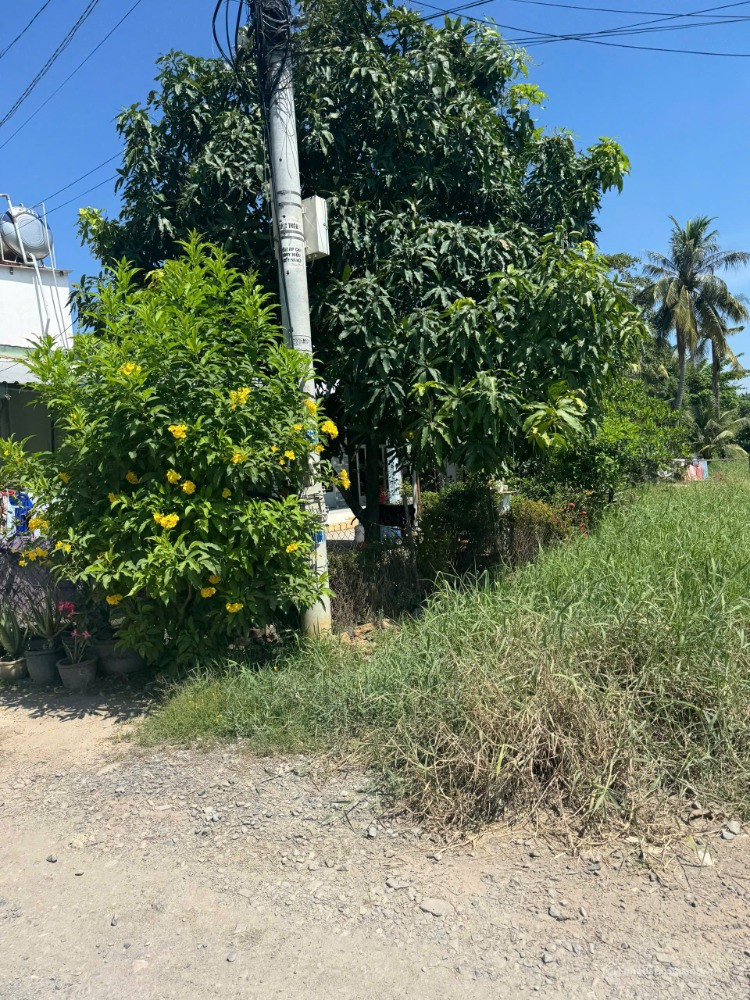 Bán đất mặt tiền đường Bùi Thị Lùng – Thị trấn Hóc Môn