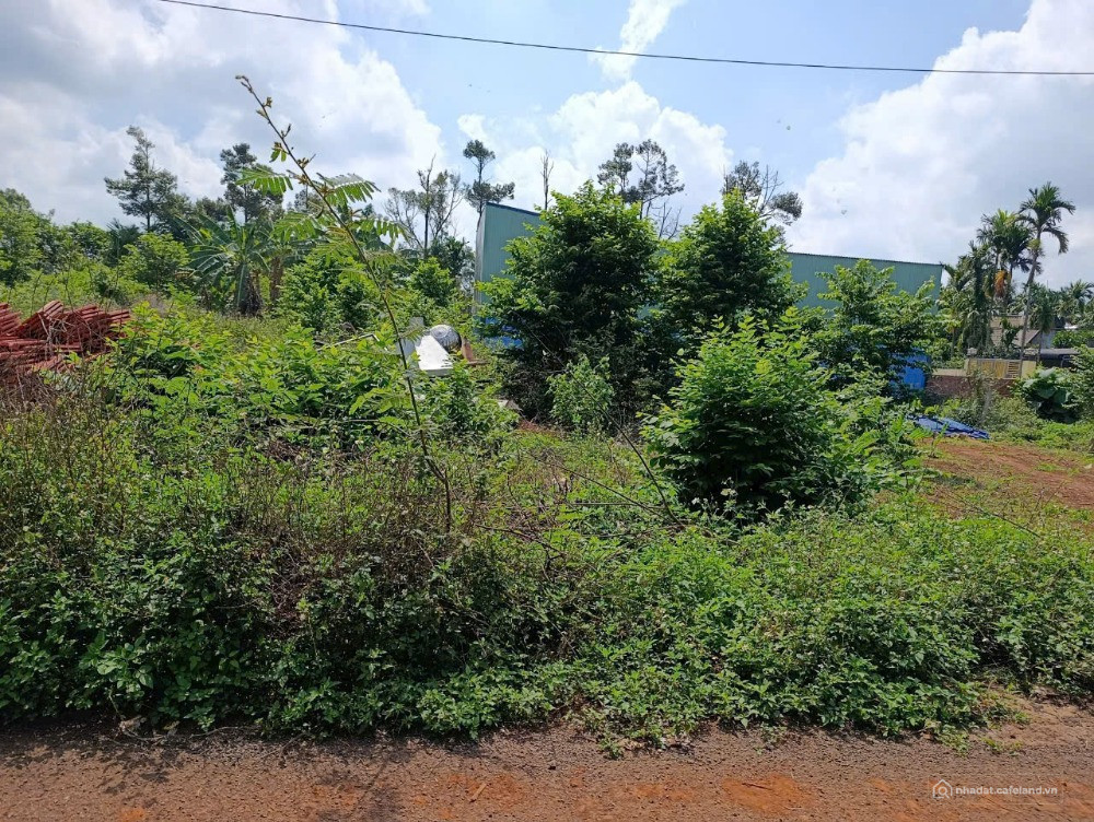 Cần bán lô đất thổ cư mặt tiền đường nhựa xã Hòa Thắng, TP. Buôn Ma Thuột