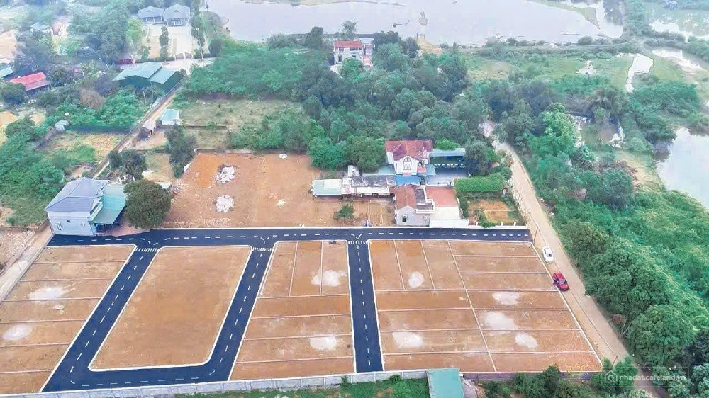 "BOM TẤN 2025 '' CƠ HỘI CUỐI CÙNG CHO NHÀ ĐẦU TƯ HÒA LẠC.