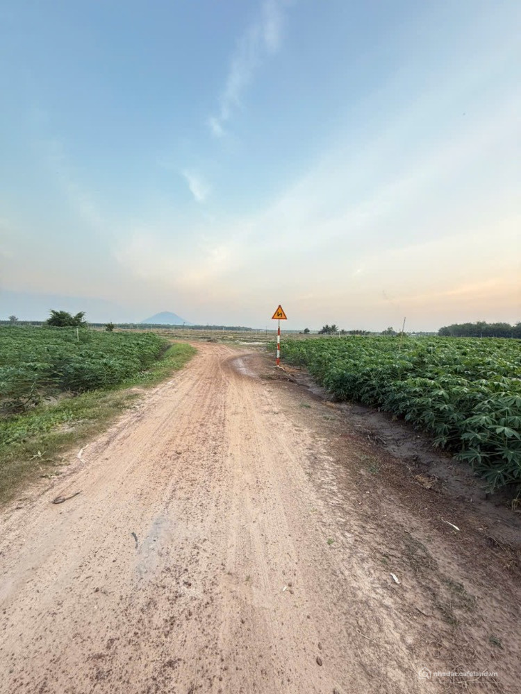 Bán 1000m2 đất vườn view núi Bà Đen, có sổ hồng riêng