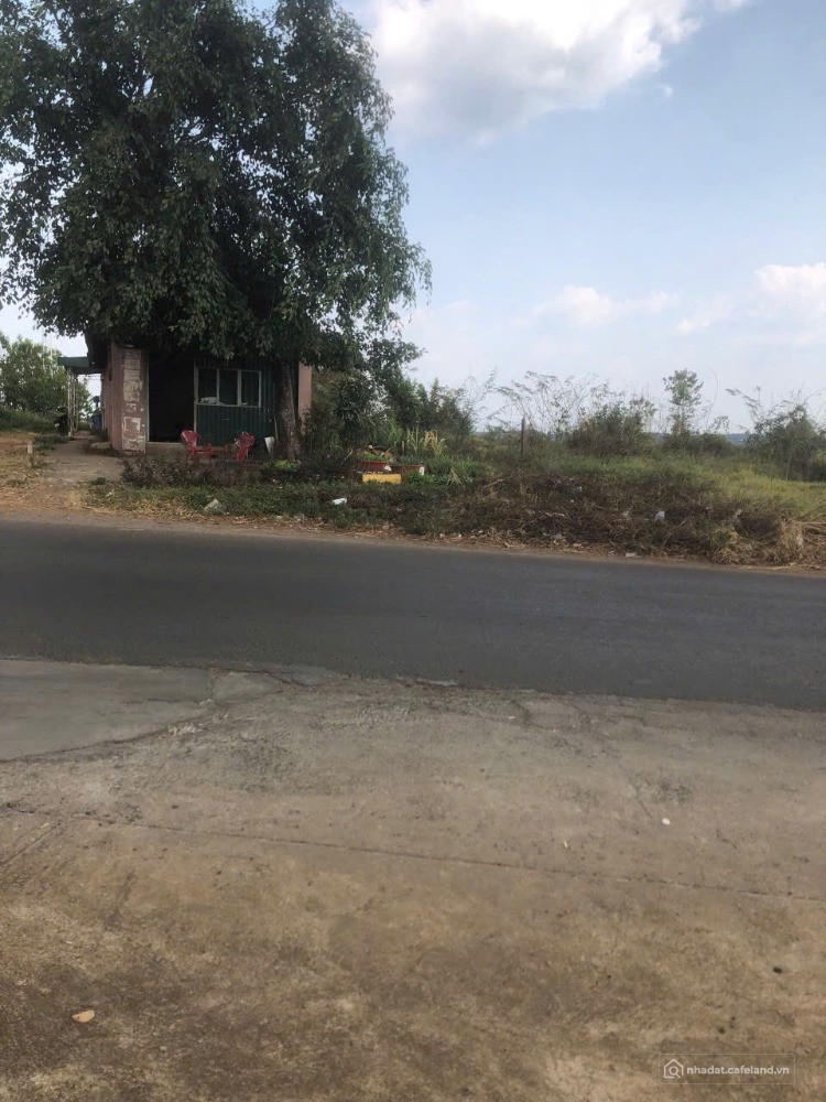 Cần bán lô đất lớn thôn 11, xã Nhân Cơ, huyện Đắk R'Lấp, tỉnh ĐắkNông