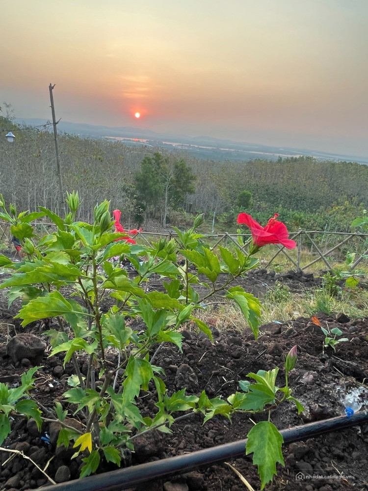 Sở hữu ngay view hồ Trị An 