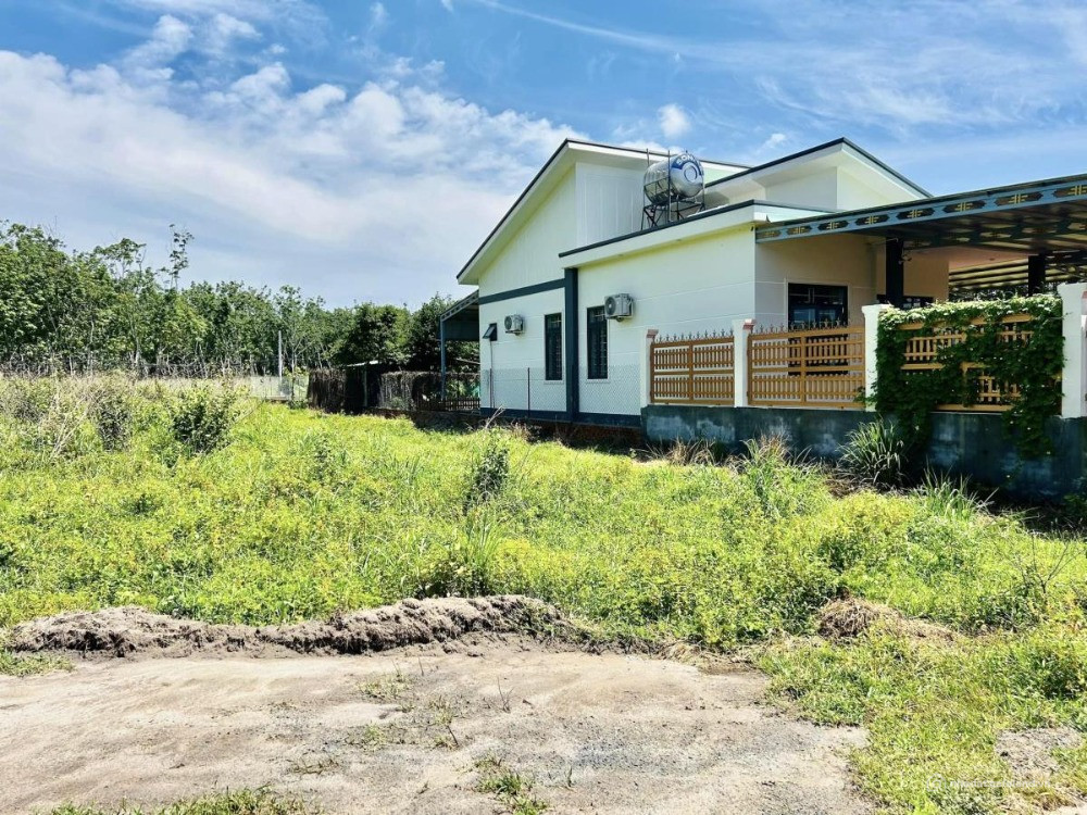 CẦN BÁN ĐẤT NGỘP 5 SỔ 1.250M2 BÁN 230 TRIỆU DÂN ĐÔNG