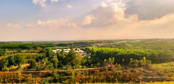 Anh Chị thích về vườn nghỉ dưỡng, sở hữu ngay mảnh vườn view hồ Trị An