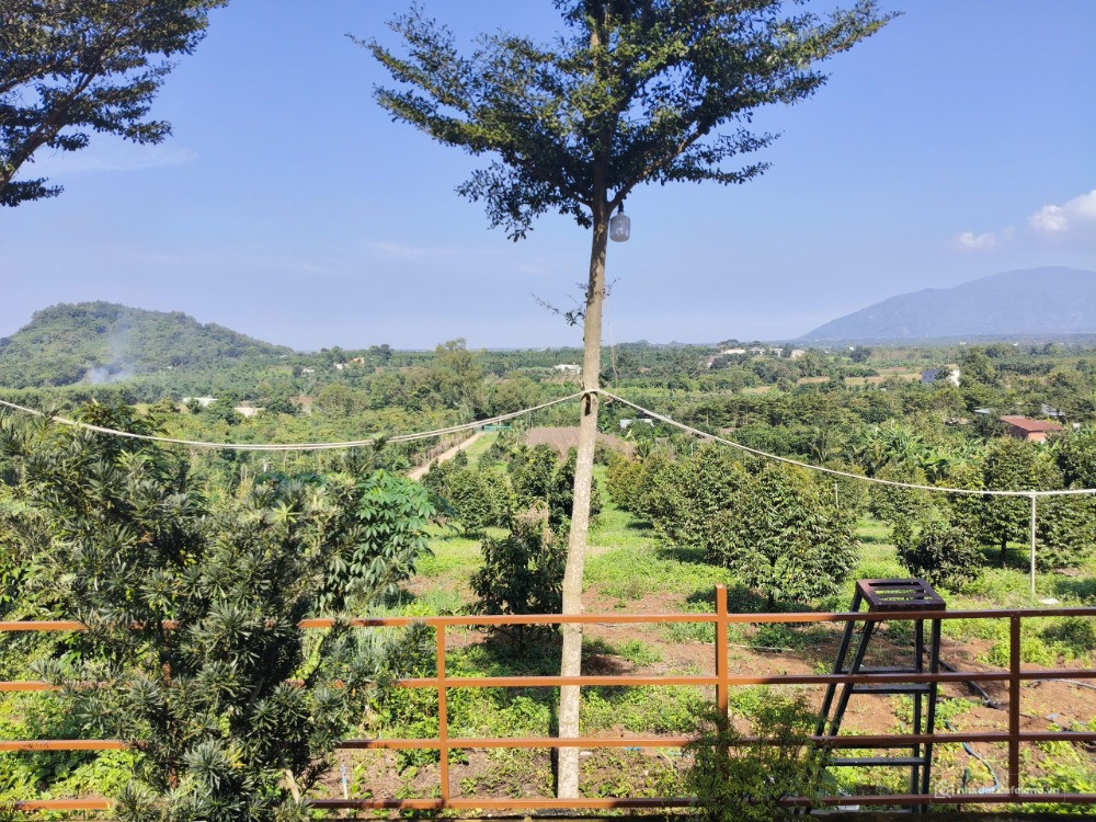 Bán 1,2 ha (12000m) Lang Minh. Xuân Lộc