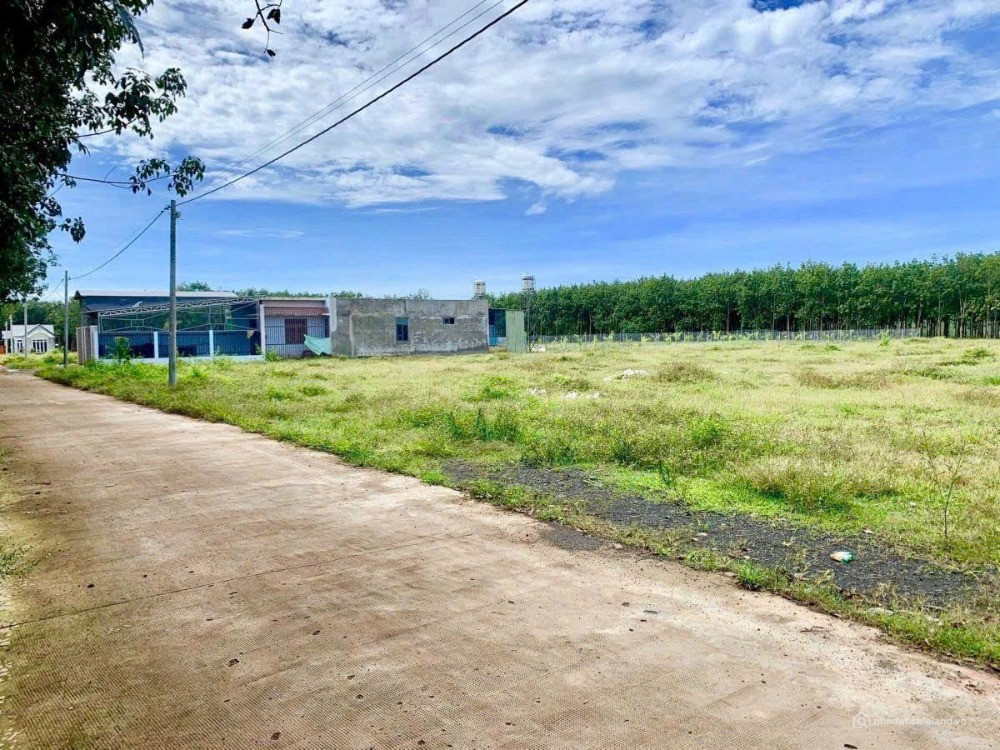 VỠ NỢ BÁN GẤP 2183M2 ĐẤT NGAY QL13 ĐƯỜNG THÔNG KCN, SÁT CHỢ DÂN ĐÔNG. GIÁ 160TR