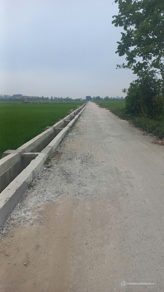 3 LÔ FO_ GIÁ SIÊU MỀM- NGAY CẠNH KCN – TẠI THÔN AN TRẠCH, PHÙ LÃNG, QUẾ VÕ, BẮC