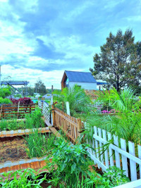 SỐT ĐẤT DI LINH LÔ ĐẸP, VIEW ĐẸP, GIÁ CHỈ 286TR ĐỪNG BỎ LỠ!
